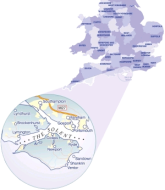 Solent Marine Community